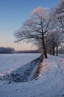 snowy landscape in the sunset light