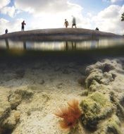 picture of underwater surface