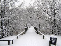 bridge in a snowy park