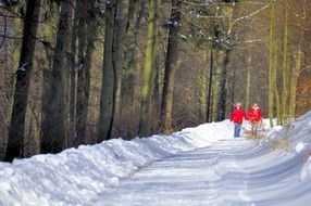 winter Hiking in forest path