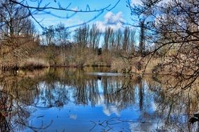 reflection of trees in the lake in autumn