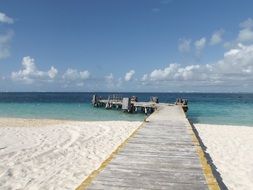 incredibly handsome Island Mexico