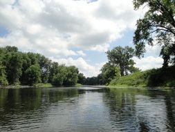 Landscape with the river and trees on a sunny day