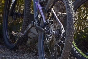 Mountain Bike Wheel view