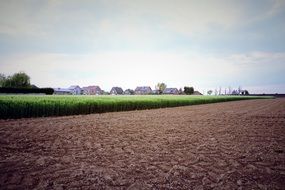 Agriculture in the spring