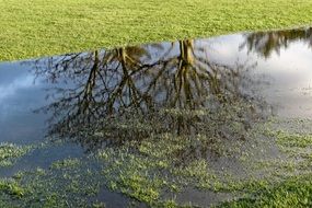 flood on a green golf course