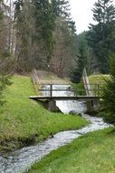 Forest Nature Tree Water Bach