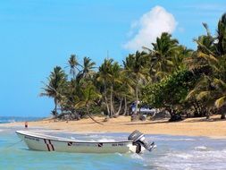 Landscape of dominican beach