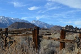 fence among dry grass