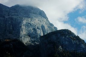 pleasant Landscape Fog