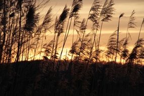Landscape of quiet evening sky