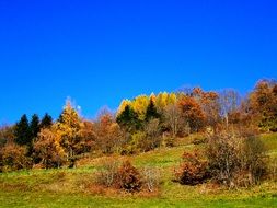 magic beauty Autumn Landscape on a sunny day