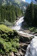 waterfall among coniferous forest