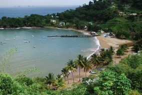 panorama of a beach on the island of tobago