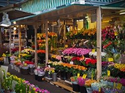 market stall with flowers