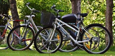 parked bicycles in the park