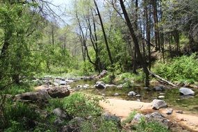 Wilderness in Sedona