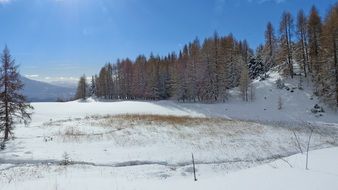 winter snowy landscape on a clear day