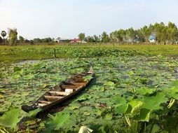 green Water Boat