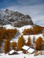 alpine mountain in the snow