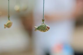 little fish as a decor