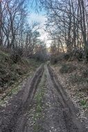 Landscape of the endless Path
