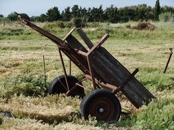 Cart wagon in summer Rural landscape on a sunny day