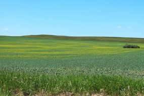 Landscape of rural field on farmland