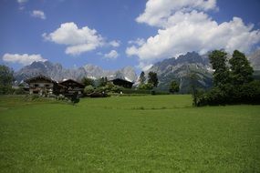 Landscape of the meadow on an alpine