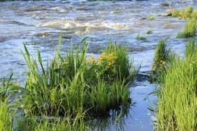 splendiferous Water