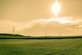 bright Sun above green Field