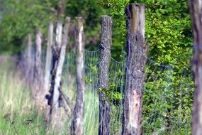 wooden fence with a grid in the pasture