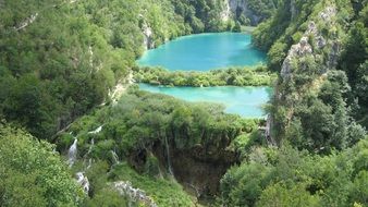 forest lake in Croatia