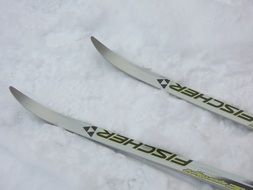Skis Sticks on a snow