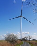 High Pinwheel on a field