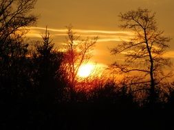 golden sunrise over the countryside