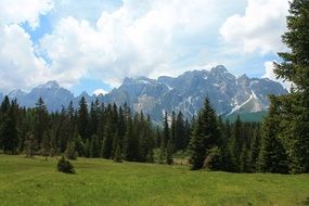 mountains beyond coniferous forest