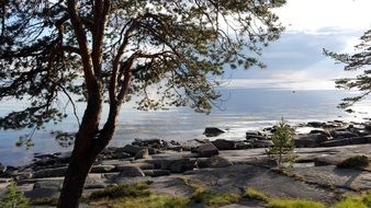 White sea in Onega