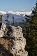 Mountains Forest Rock