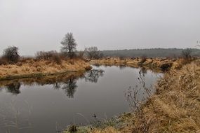 quiet river among dry grass on a cloudy day