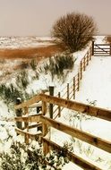 rural landscape in frost