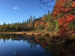 colorful autumn reflected in the pond