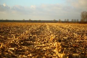 photo of arable land