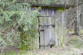 magnificent Old Hut