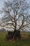 Car from the past