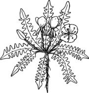 outline drawing of a forest flower