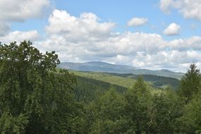 panorama of green forests in the hills under a cloudy sky