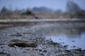 coastal zone with small pebbles