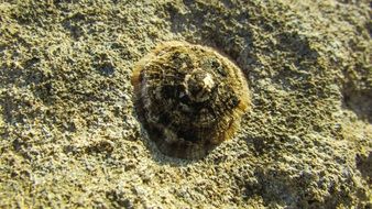stunningly beautiful Limpet Rock