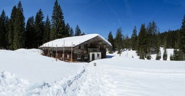 hut in the winter forest